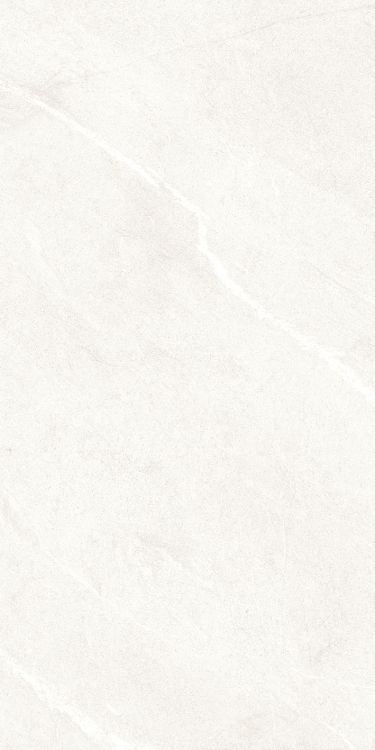 Dhara White Matte 24 x 48